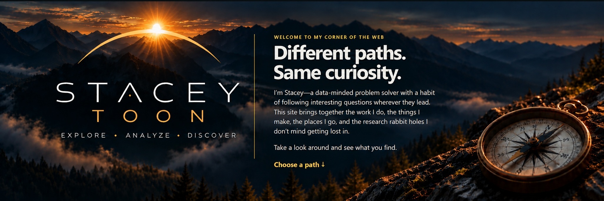 Stacey Toon — Explore, Analyze, Discover. Different paths. Same curiosity.