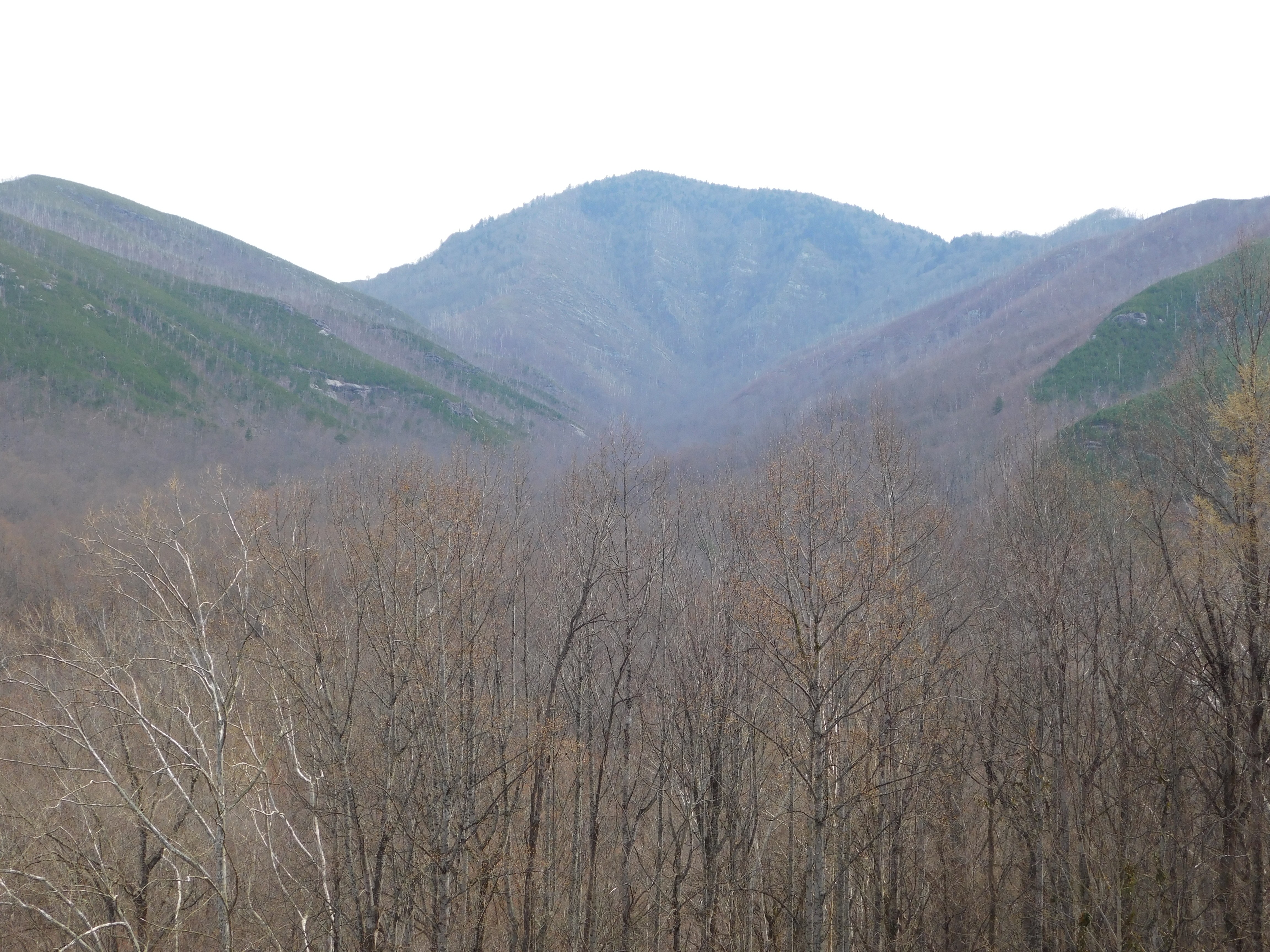 DSCN0065.JPG