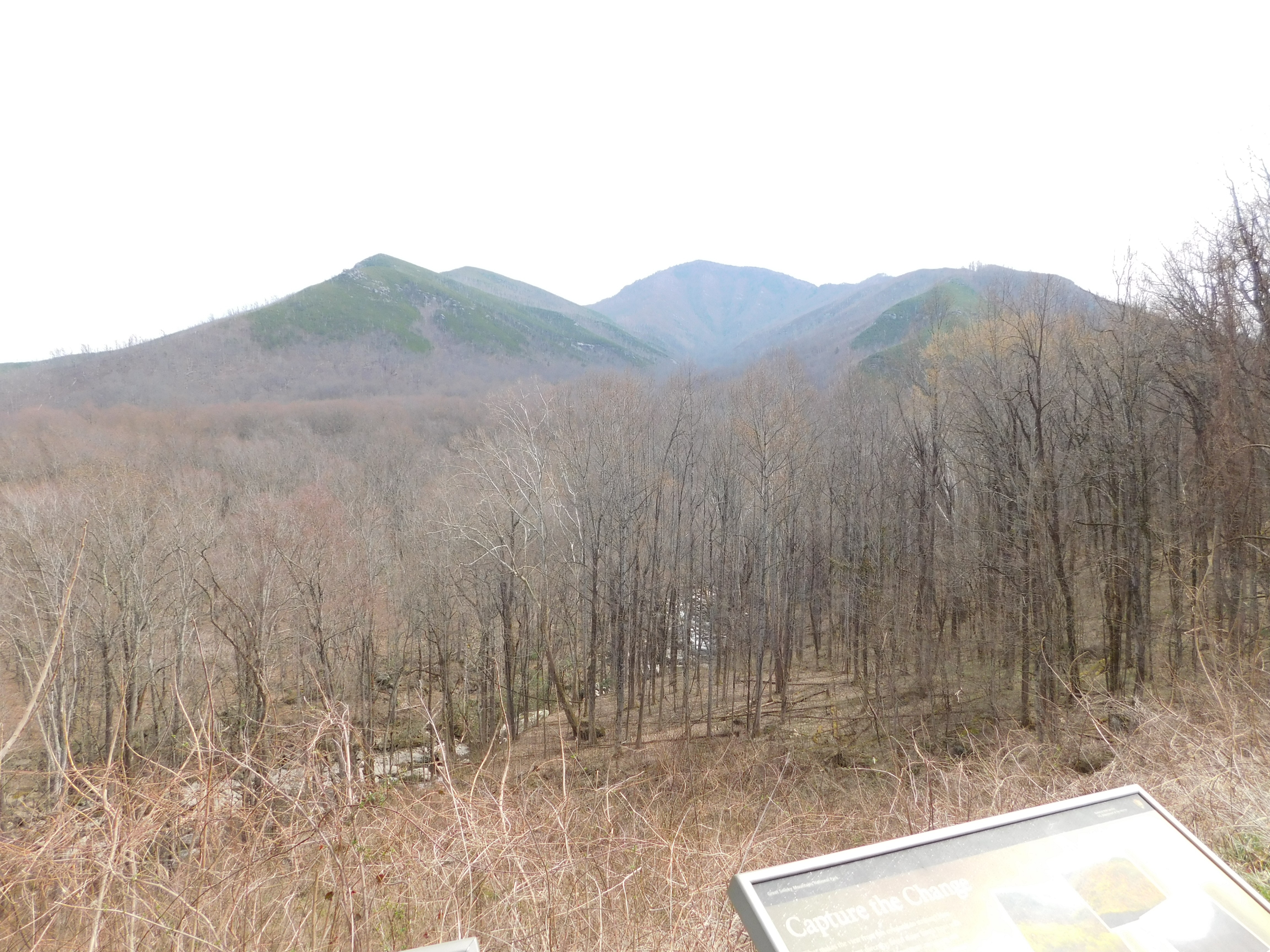 DSCN0064.JPG