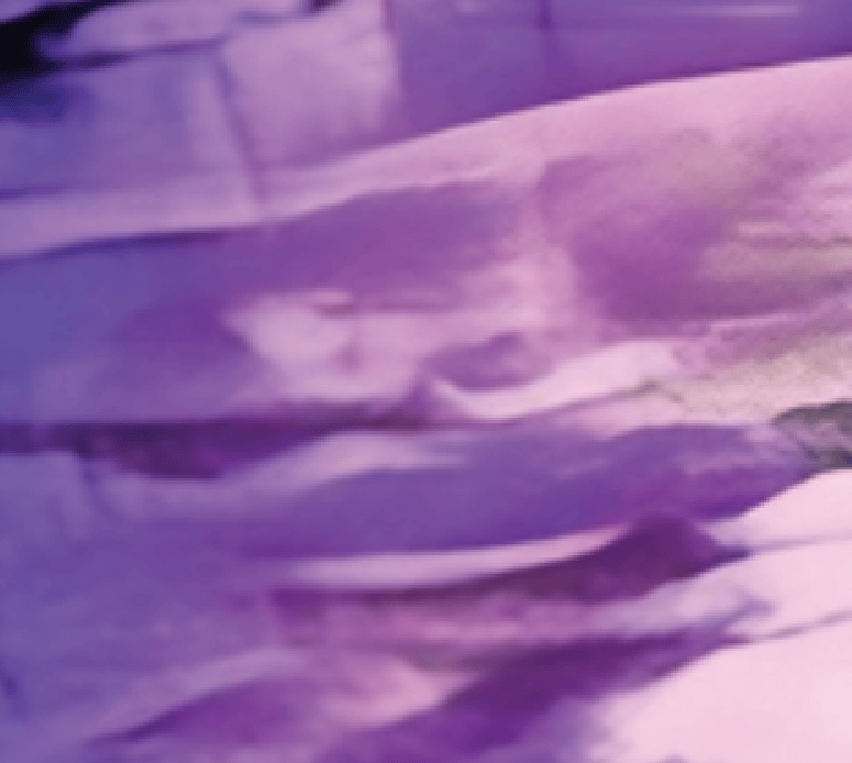 Animated close-up highlighting the shark-like shape discussed by hunters.