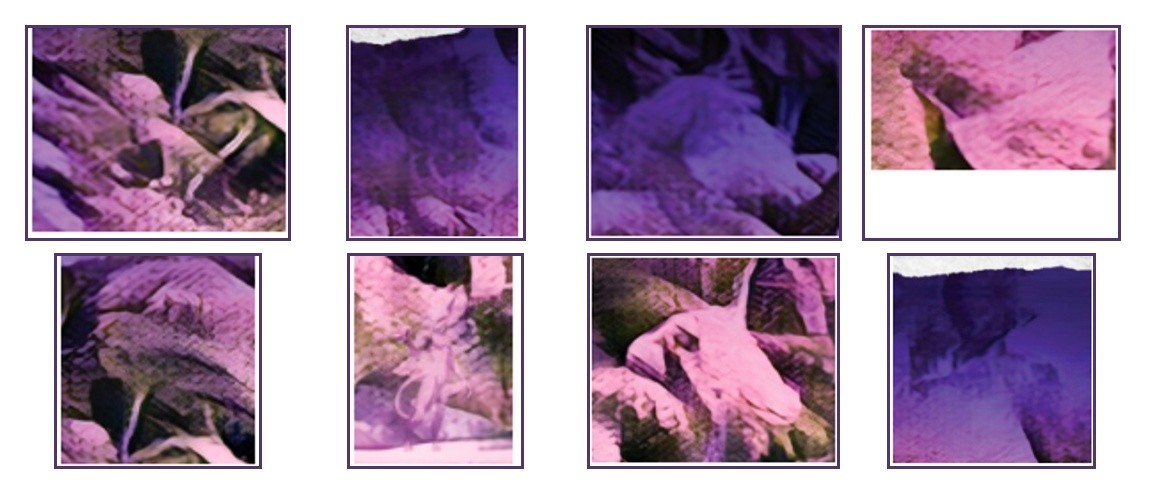 Eight close-up views selected from the final purple photograph.