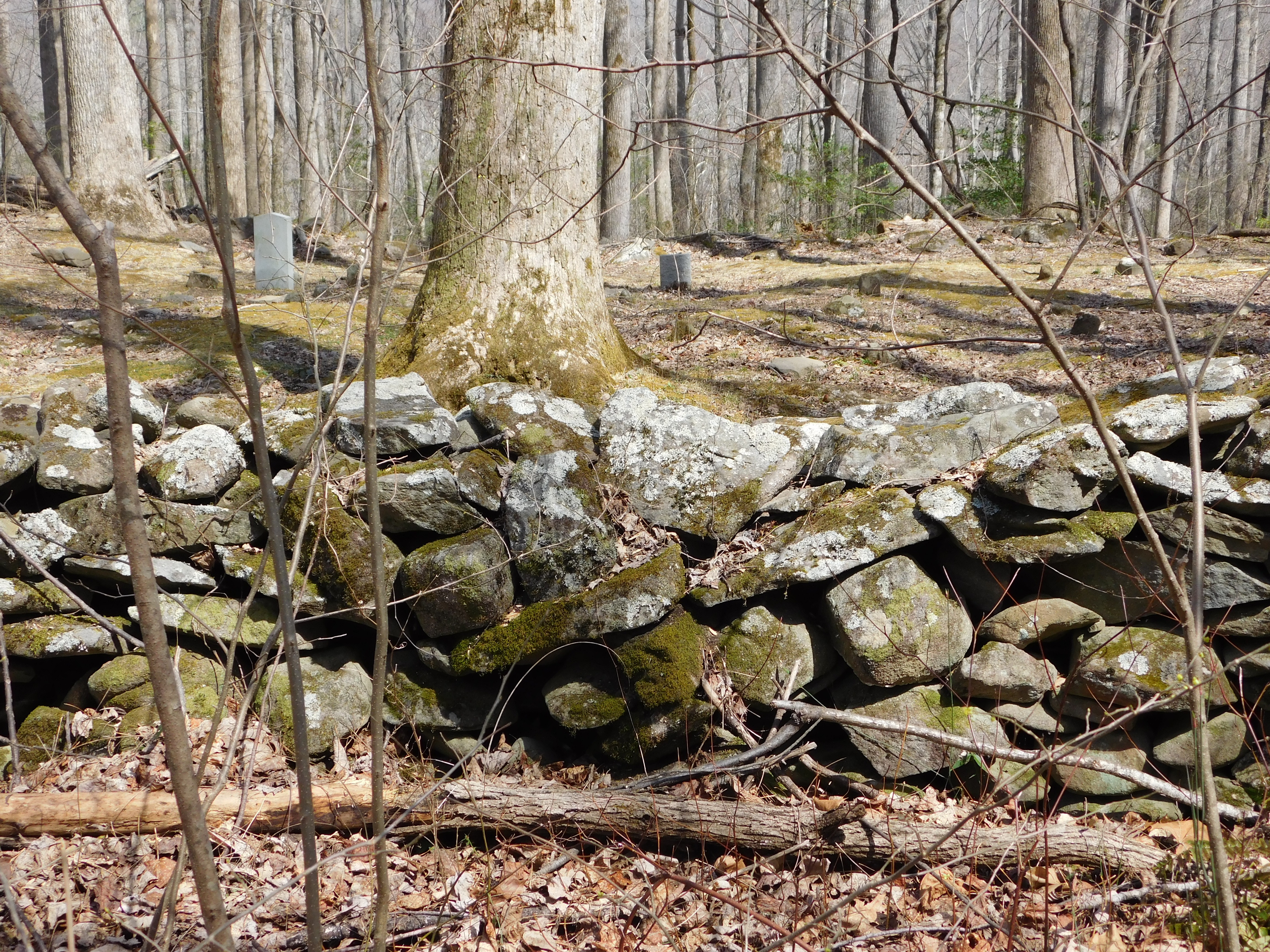 DSCN0076.JPG