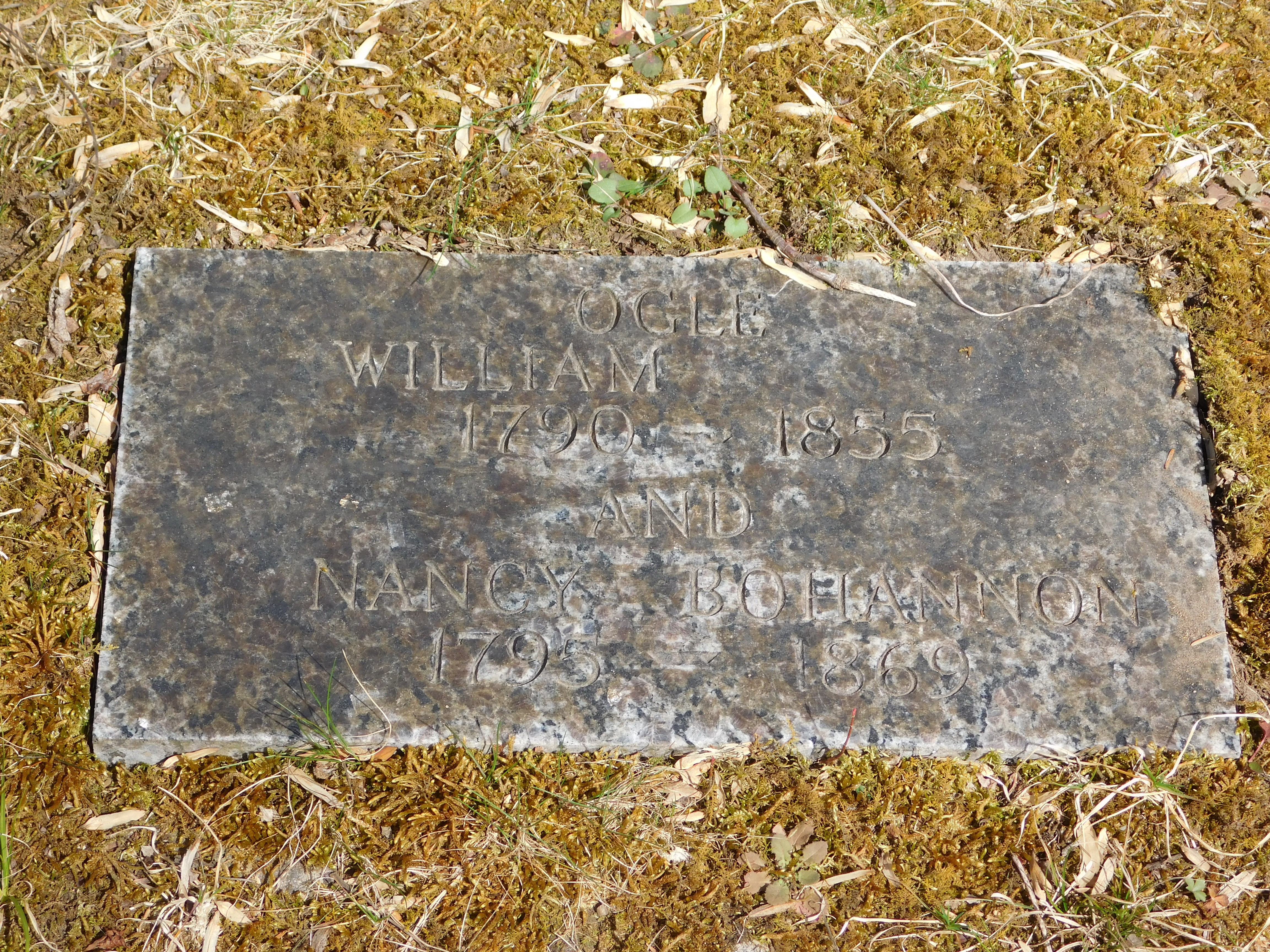 DSCN0073.JPG